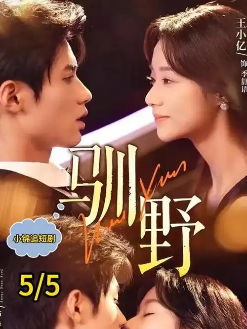 雾港迷局 热播电视剧全集